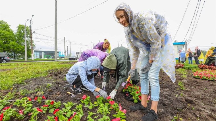Навстречу 550-летию: в Чебоксарах появятся цветочные ковры с национальными узорами